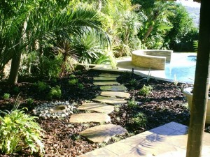 Landscaping Services in Cape Town